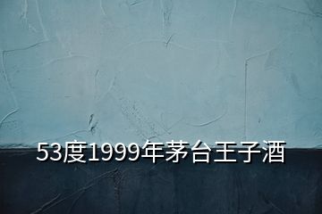 53度1999年茅台王子酒