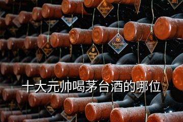 十大元帅喝茅台酒的哪位