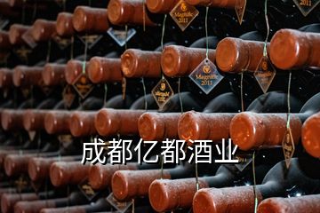 成都亿都酒业