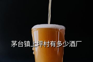 茅台镇上坪村有多少酒厂