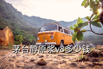 茅台醇原浆v8多少钱