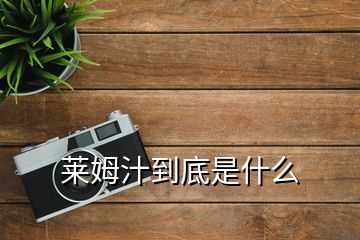 莱姆汁到底是什么