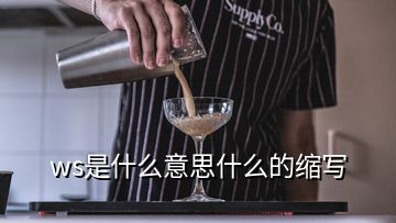 ws是什么意思什么的缩写