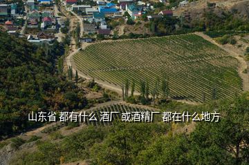 山东省 都有什么 酒厂 或酒精厂 都在什么地方