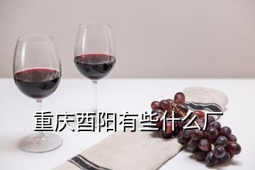 重庆酉阳有些什么厂