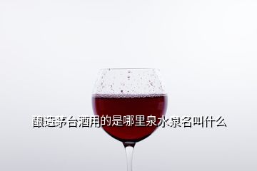 酿造茅台酒用的是哪里泉水泉名叫什么