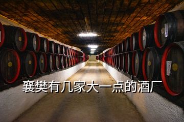 襄樊有几家大一点的酒厂