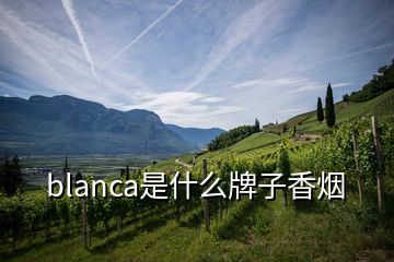 blanca是什么牌子香烟