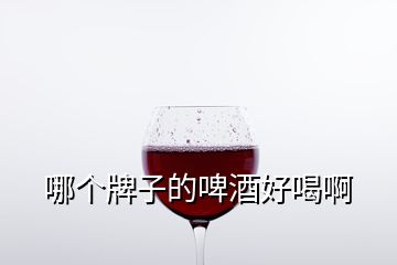 哪个牌子的啤酒好喝啊