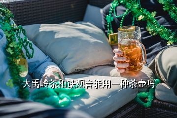 大禹岭茶和铁观音能用一种茶壶吗