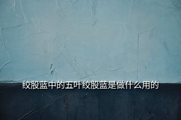 绞股蓝中的五叶绞股蓝是做什么用的