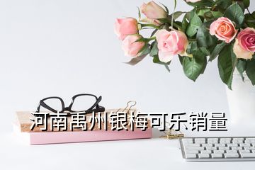 河南禹州银梅可乐销量