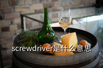 screwdriver是什么意思