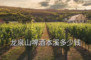 龙泉山啤酒本溪多少钱