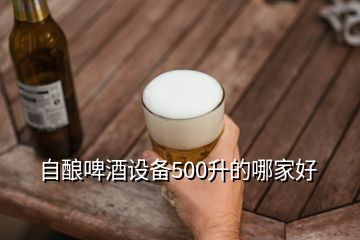 自酿啤酒设备500升的哪家好