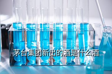 茅台集团新出的酒是什么酒