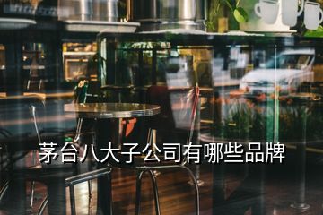 茅台八大子公司有哪些品牌