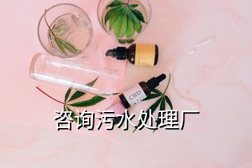 咨询污水处理厂