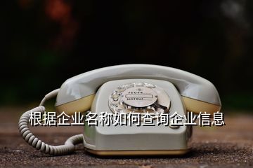 根据企业名称如何查询企业信息