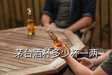 茅台酒杯多少杯一两