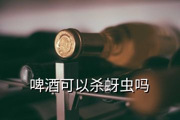 啤酒可以杀蚜虫吗