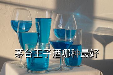 茅台王子酒哪种最好