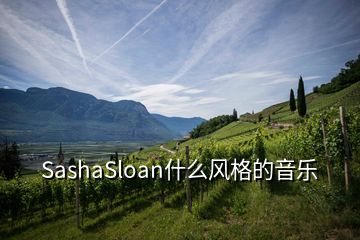 SashaSloan什么风格的音乐