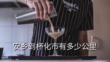 安乡到杯化市有多少公里