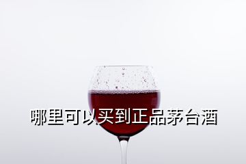 哪里可以买到正品茅台酒