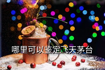 哪里可以鉴定飞天茅台