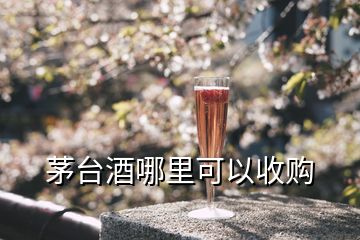 茅台酒哪里可以收购