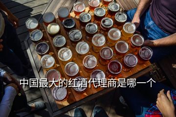 中国最大的红酒代理商是哪一个