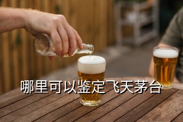 哪里可以鉴定飞天茅台