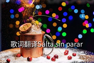 歌词翻译Salta sin parar