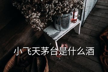 小飞天茅台是什么酒