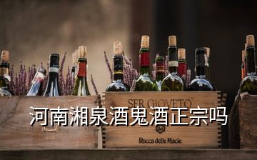 河南湘泉酒鬼酒正宗吗