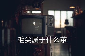 毛尖属于什么茶