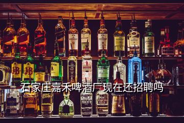 石家庄嘉禾啤酒厂现在还招聘吗