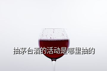 抽茅台酒的活动是哪里抽的