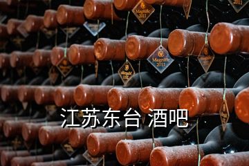 江苏东台 酒吧