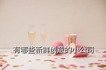 有哪些新鲜创意的小公司