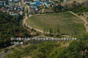 四川成都大邑酒厂产的金色至尊52度500m浓香型白酒多少钱啊  搜