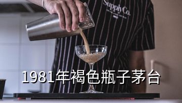 1981年褐色瓶子茅台