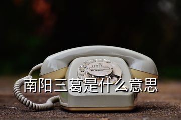 南阳三葛是什么意思