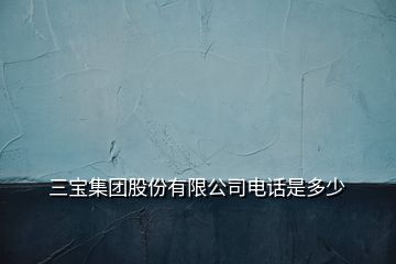 三宝集团股份有限公司电话是多少