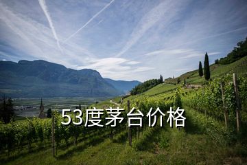 53度茅台价格