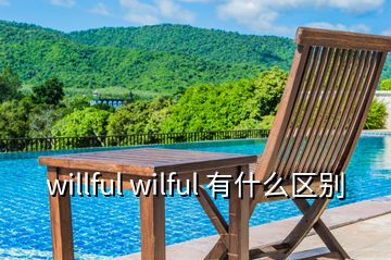 willful wilful 有什么区别