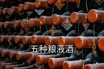 五种粮液酒