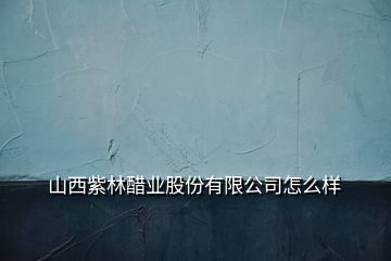 山西紫林醋业股份有限公司怎么样