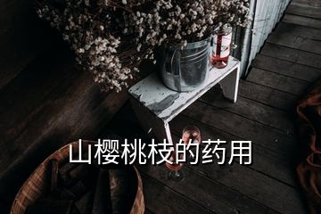 山樱桃枝的药用